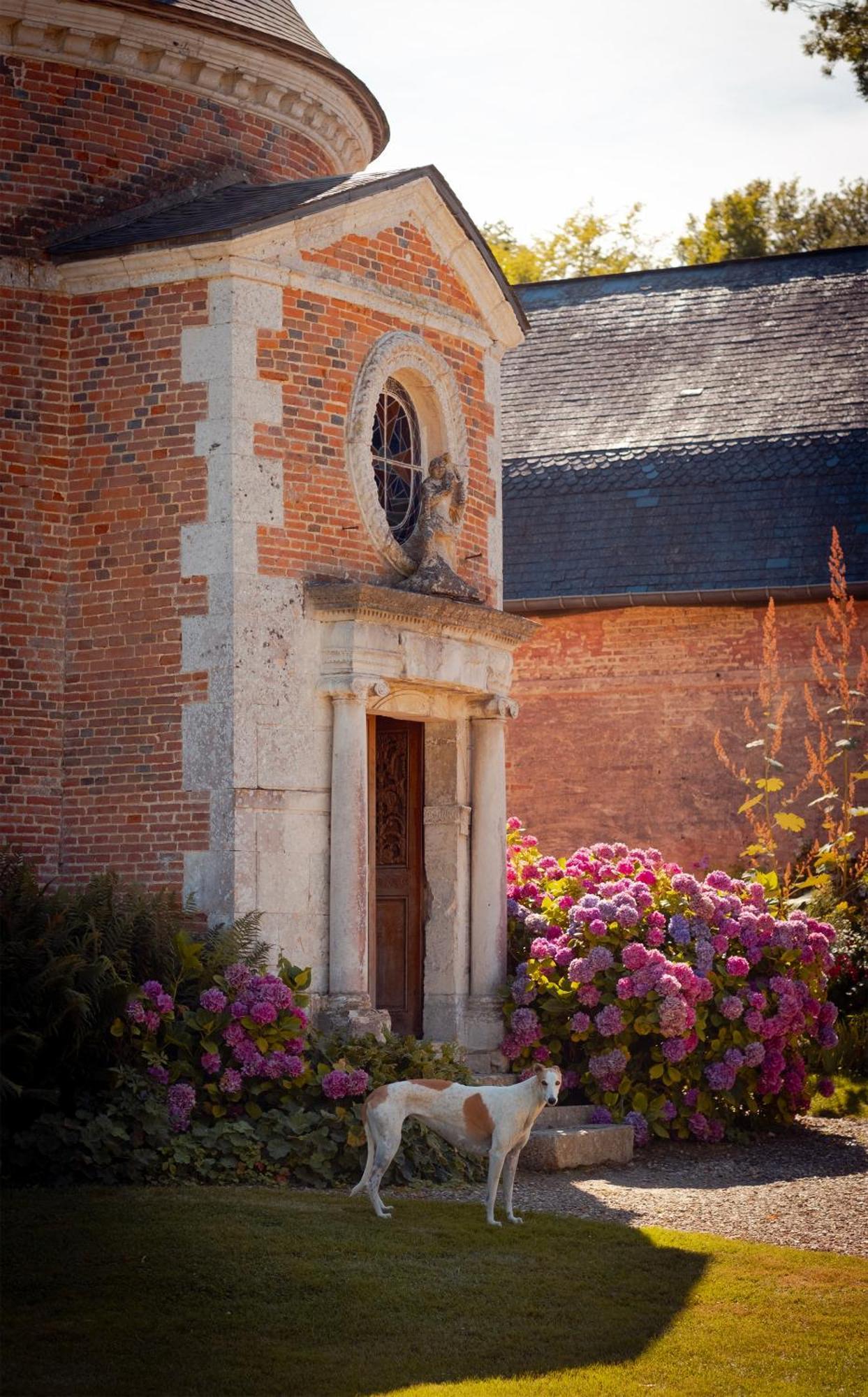 Le Chateau De Bonnemare - Bed And Breakfast 厄杜庞 外观 照片
